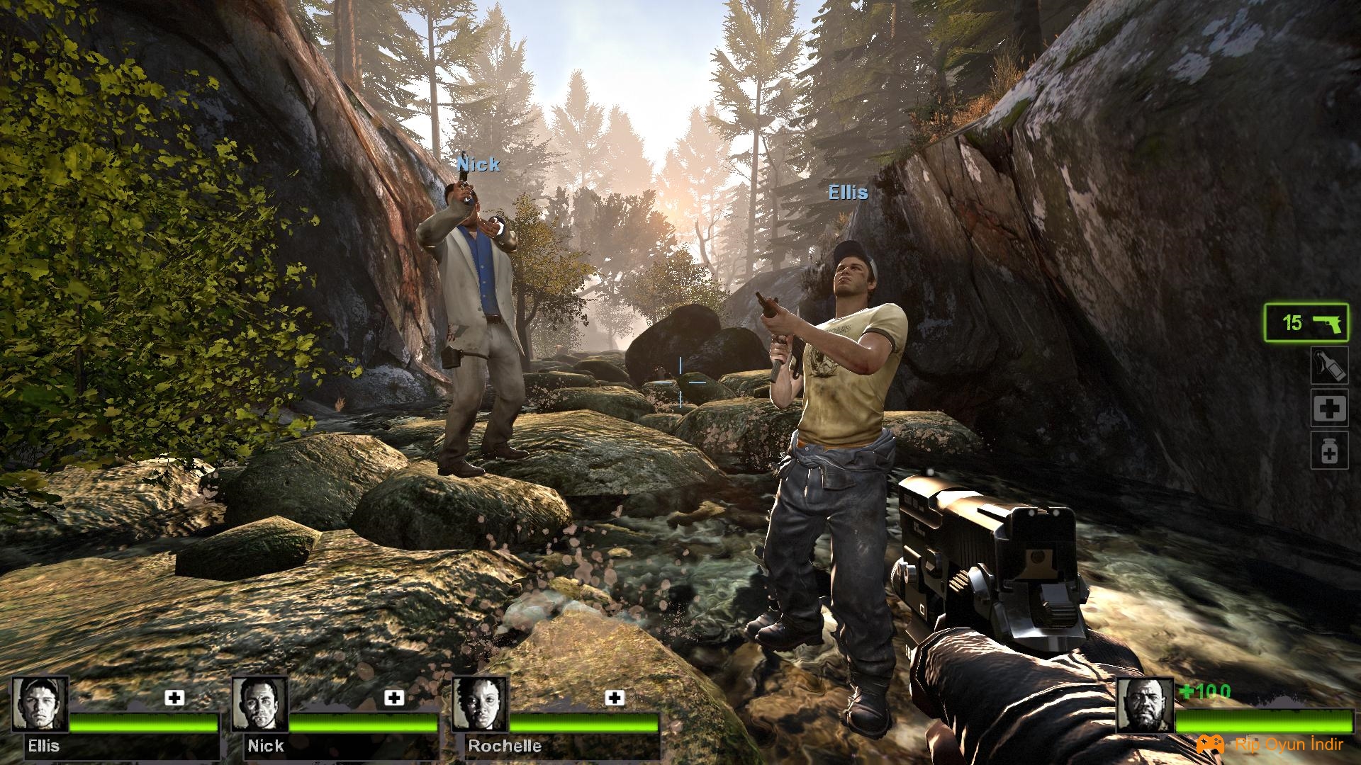 9530cff731019fee33535450d89c5307